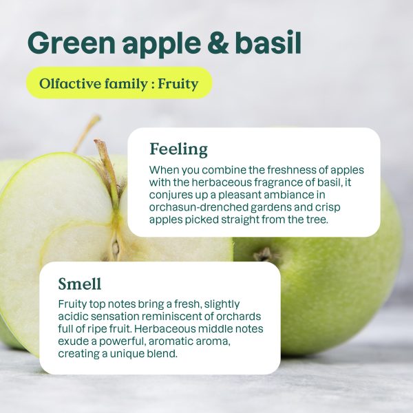 Bundle of ATTITUDE Foaming Hand Soap, Plant and Mineral-Based Ingredients - Image 3