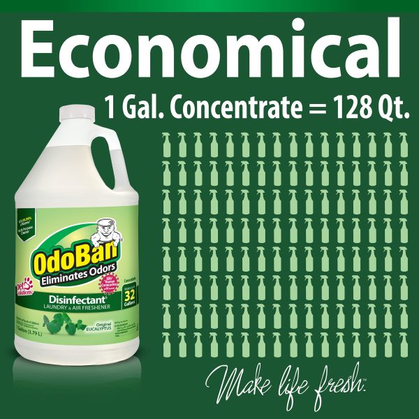 OdoBan Disinfectant Concentrate and Odor Eliminator, Original Eucalyptus Scent - Image 4